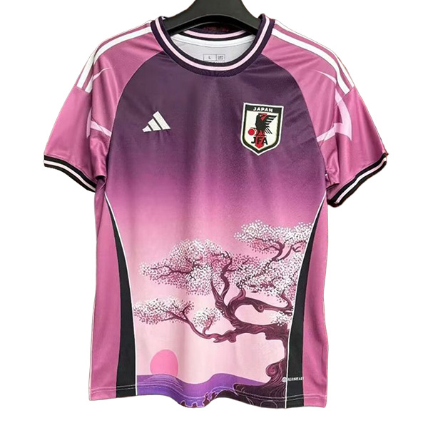 Maillot de Foot Nacional Japon Édition Spéciale Violet 2024/2025