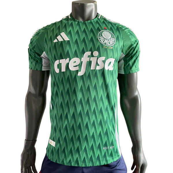 Maillot De Foot Palmeiras Special Edition Vert 2024/2025