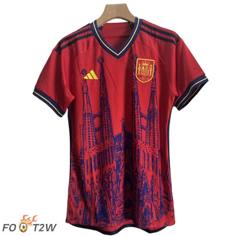 Maillot Equipe Foot Espagne Special Edition 2024/2025