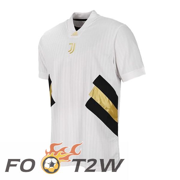 Training T-Shirts Juventus Blanc 2024/2025