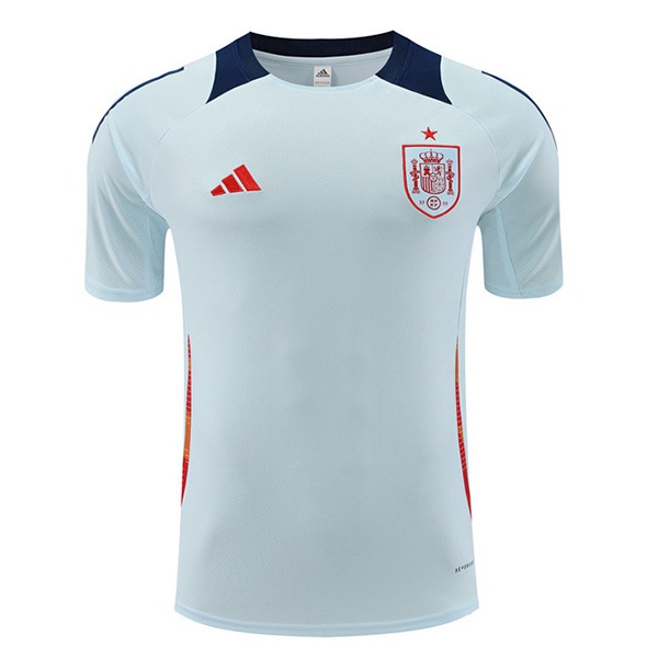 Training T-Shirts Espagne Bleu 2024/2025