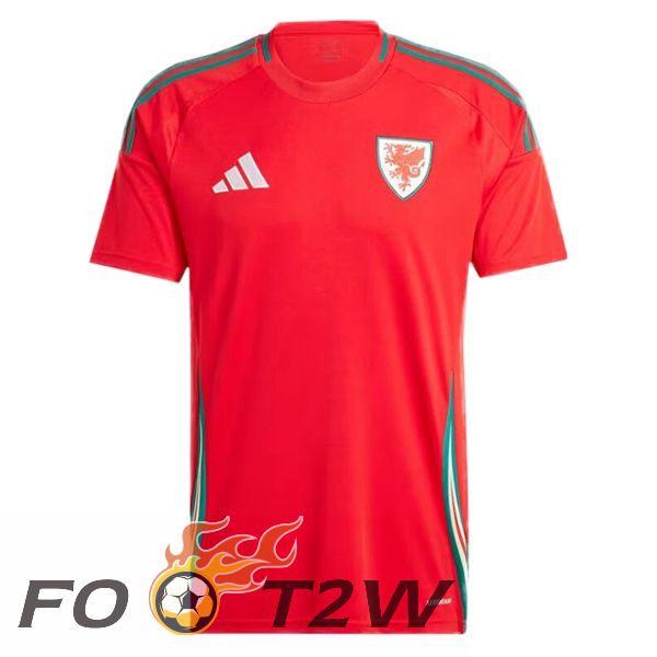 Maillot Equipe De Pays De Galles Domicile Rouge 2024/2025