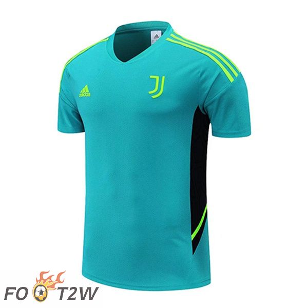 Training T-Shirts Juventus Vert 2022/2023