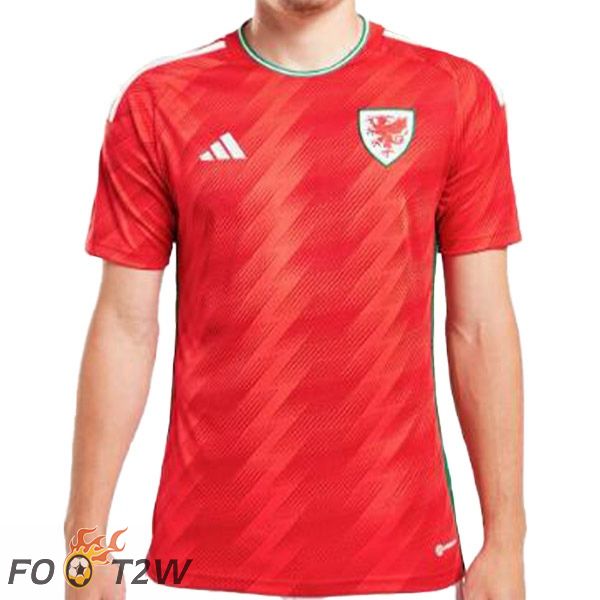 Maillot Foot Equipe De Pays de Galles Domicile Rouge 2022/2023