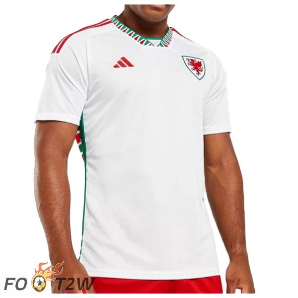 Maillot Foot Equipe De Pays de Galles Exterieur Blanc 2022/2023