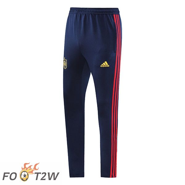 Pantalon Foot Espagne Bleu 2022/2023