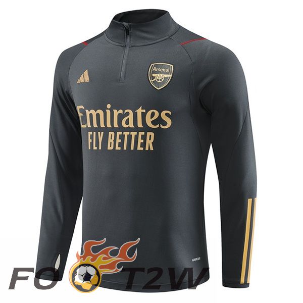 Training Sweatshirt Arsenal Gris 2023/2024