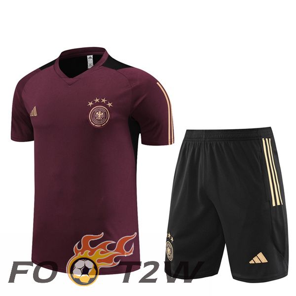 Ensemble Training T-Shirts Allemagne + Shorts Rouge 2023/2024