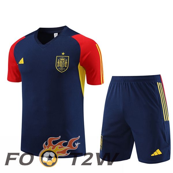 Ensemble Training T-Shirts Espagne + Shorts Bleu Royal 2023/2024