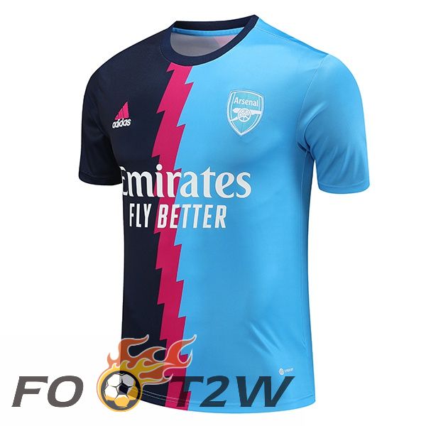 Ensemble Training T-Shirts Arsenal Bleu 2023/2024