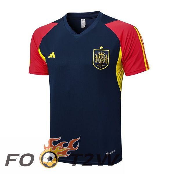 Training T-Shirts Espagne Bleu Royal 2023/2024