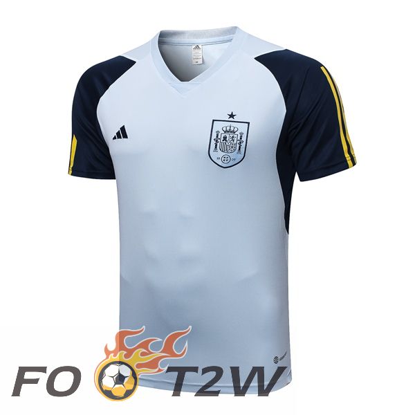 Training T-Shirts Espagne Bleu 2023/2024