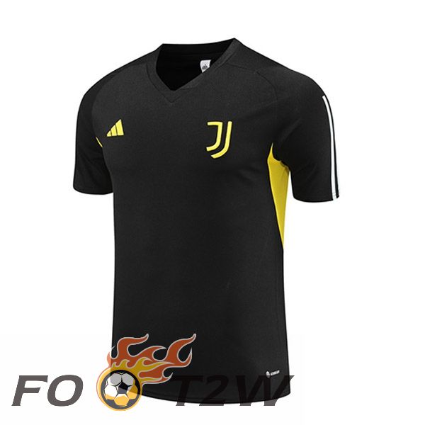 Training T-Shirts Juventus Noir 2023/2024