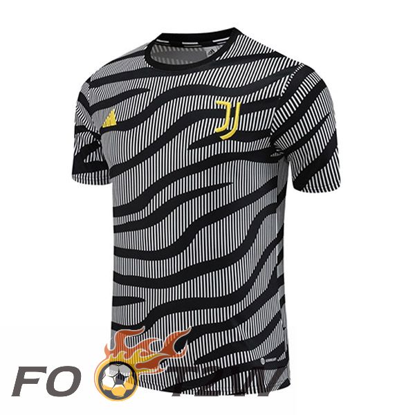 Training T-Shirts Juventus Noir Gris 2023/2024