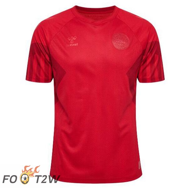 Maillot Foot Equipe De Danemark Domicile Rouge Coupe du monde 2022