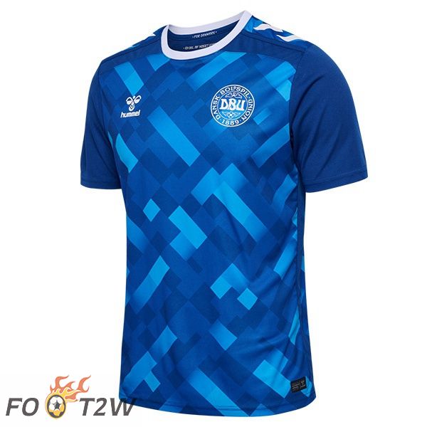 Maillot Equipe De Danemark Gardien De but Bleu UEFA Euro 2024