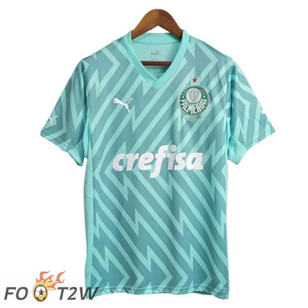 Maillot De Foot Palmeiras Gardien De But Vert 2024/2025