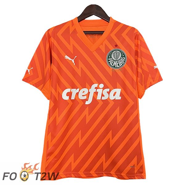 Maillot De Foot Palmeiras Gardien De But Orange 2024/2025