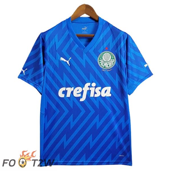 Maillot De Foot Palmeiras Gardien De But Bleu 2024/2025