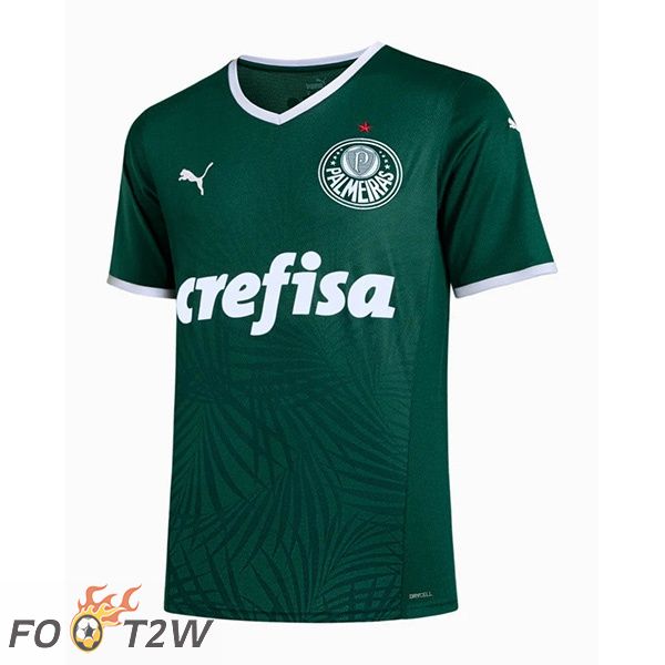 Maillot Foot Palmeiras Domicile Vert 22/23