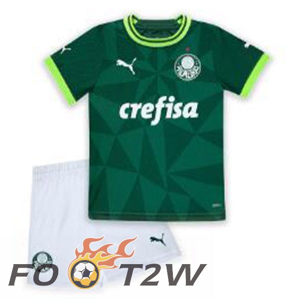 Maillot De Foot Palmeiras Enfant Domicile Vert 2023/2024