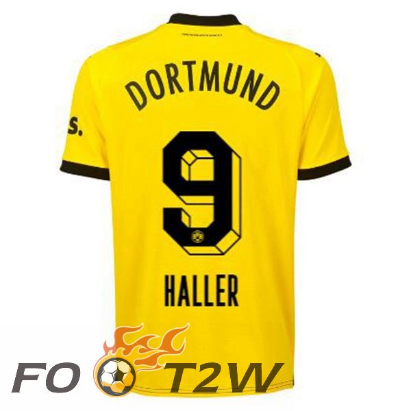 Maillot De Foot Dortmund BVB (Haller 9) Domicile Jaune Noir 2023/2024