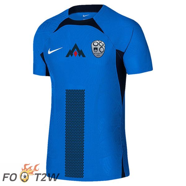 Maillot Equipe Foot Slovenie Exterieur 2024/2025