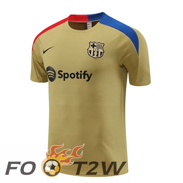 Training T-Shirts FC Barcelone Jaune 2024/2025