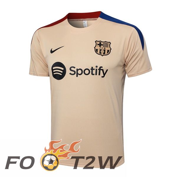 Training T-Shirts FC Barcelone Jaune 2024/2025