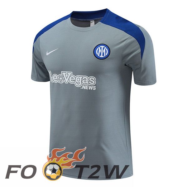 Training T-Shirts Inter Milan Gris 2024/2025