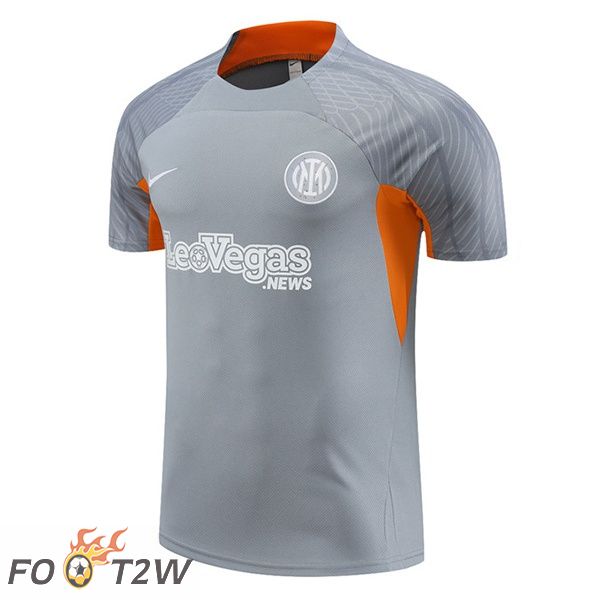 Training T-Shirts Inter Milan Gris 2024/2025