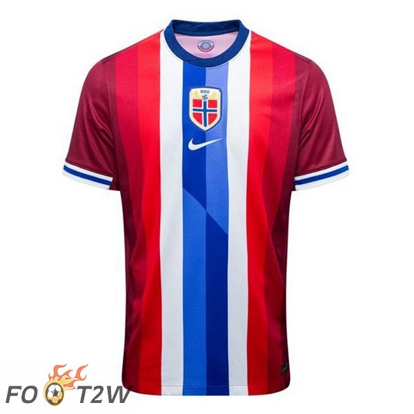 Maillot Equipe De Norvège Domicile Rouge Bleu 2024/2025