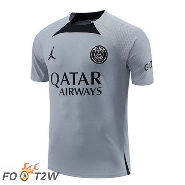 Training T-Shirts Paris PSG Gris 2022/2023