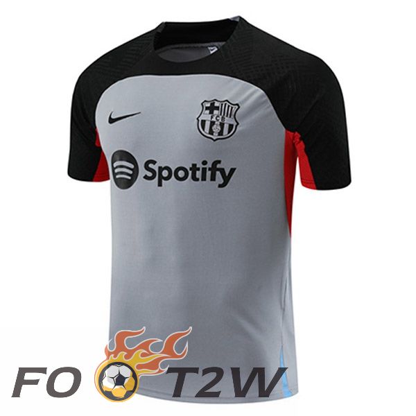 Training T-Shirts FC Barcelone Gris 2023/2024