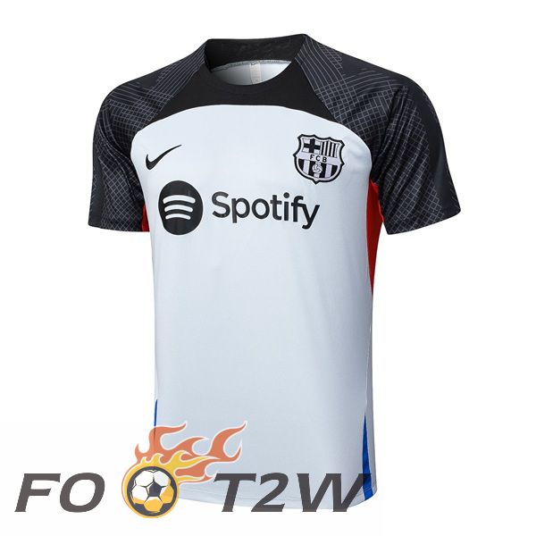 Training T-Shirts FC Barcelone Gris 2023/2024