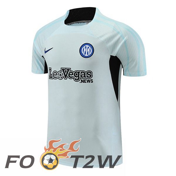 Training T-Shirts Inter Milan Gris 2023/2024