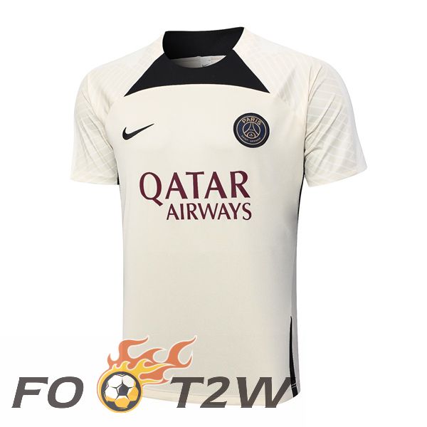 Training T-Shirts Paris PSG Marron 2023/2024