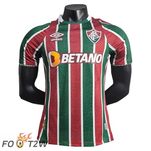 Nouveau Maillot De Foot Fluminense Domicile 2024/2025