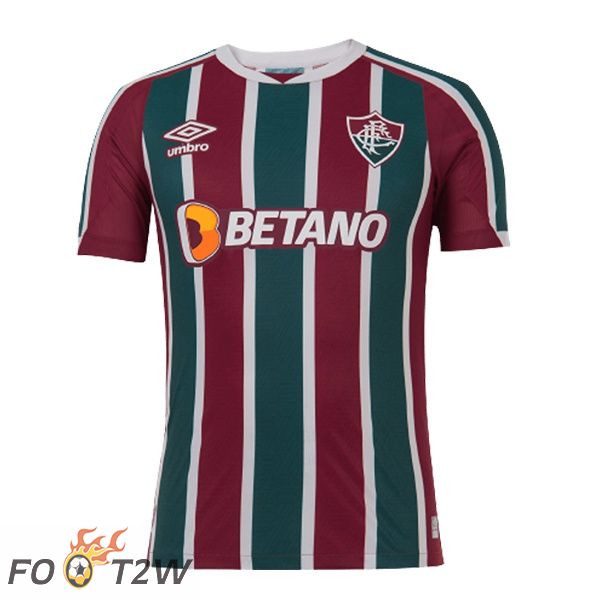 Maillot de Foot Fluminense Domicile Vert Rouge 2022/2023