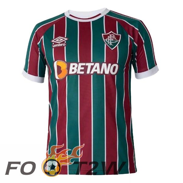 Maillot De Foot Fluminense Domicile Rouge Vert 2023/2024