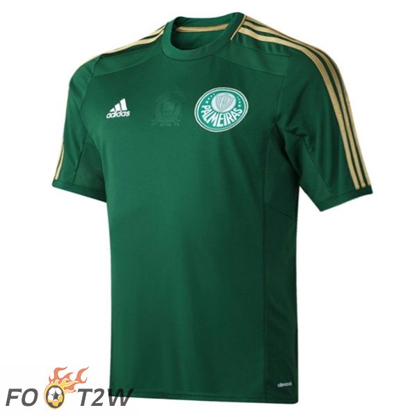 Maillot de Foot Palmeiras Retro Domicile Vert 2014-2015