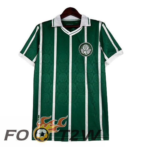 Maillot De Foot Palmeiras Retro Domicile Vert 1993